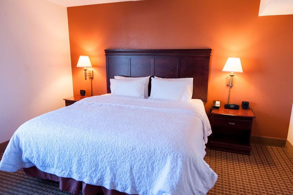 Suite, 1 King Bed, Non Smoking photo 3