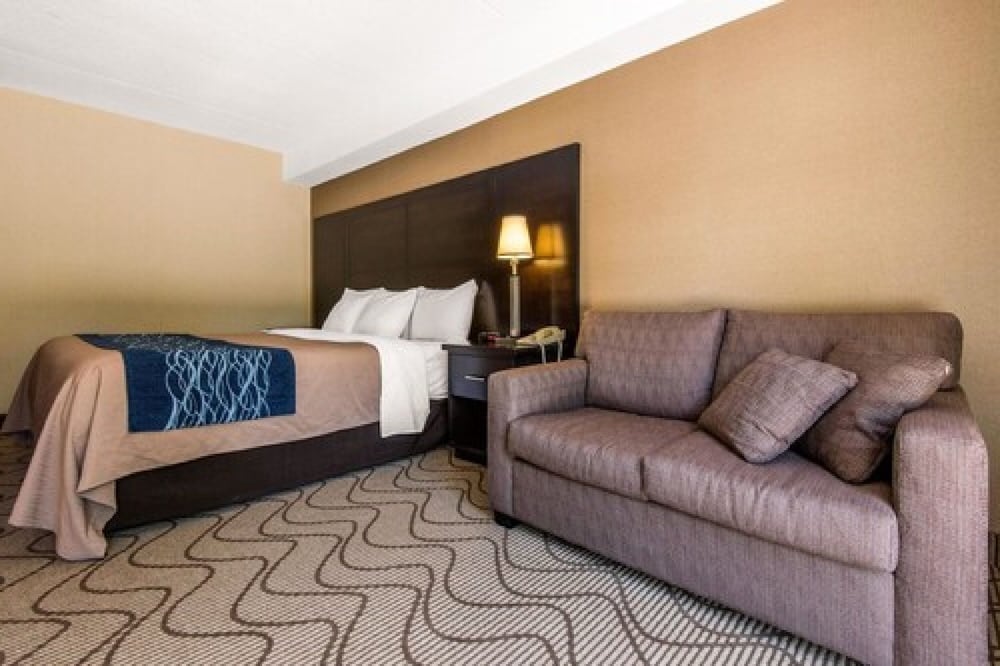 Room, 1 Queen Bed with Sofa bed, Non Smoking - Photo 1