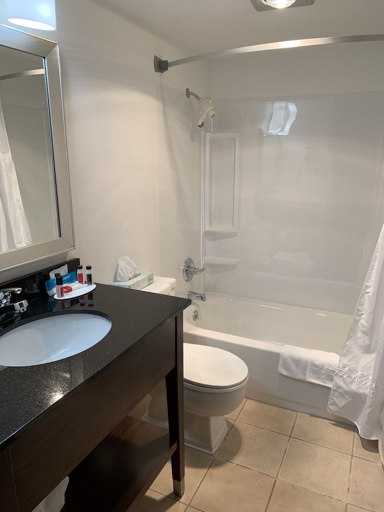Suite, 1 Queen Bed - Photo 6