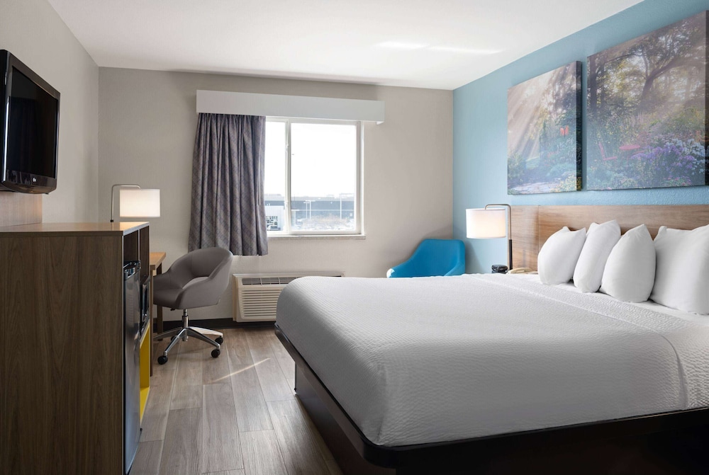 Room, 1 King Bed, Non Smoking, Refrigerator - Photo 4