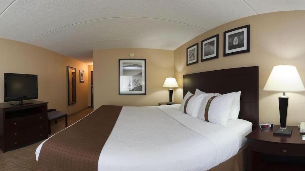 Standard Room, 1 King Bed, Accessible (Communications, Accessible Tub) - Photo 1