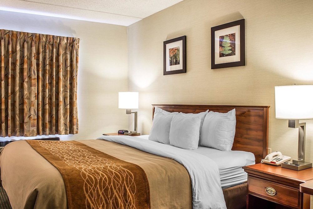 Suite - Photo 1