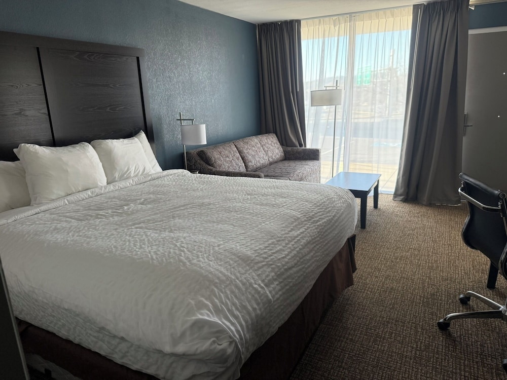 Suite, Multiple Beds