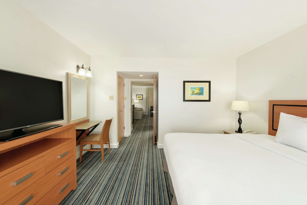 Suite, 1 King Bed, Accessible, Bathtub - Photo 1