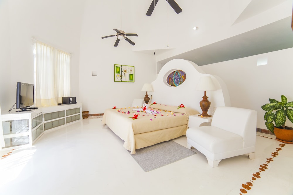 Honeymoon Suite, 1 King Bed, Terrace, Ocean View photo 1