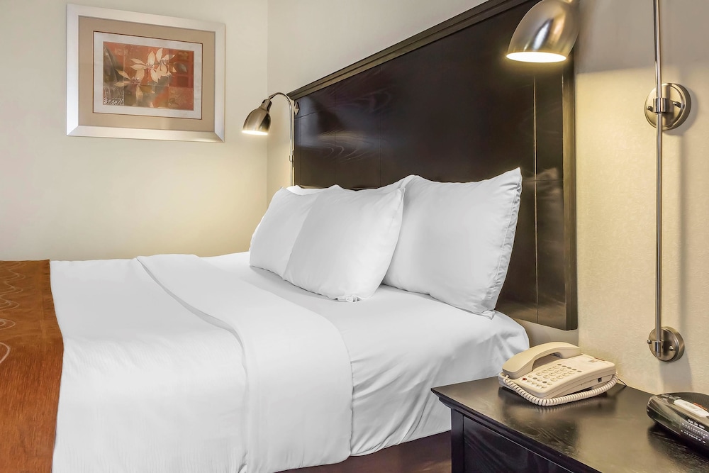 Standard Room, 1 King Bed, Non Smoking - Photo 5