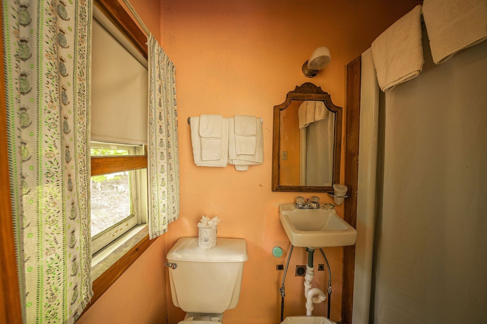 Basic Single Room photo 2