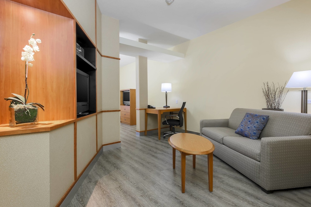 Studio, Multiple Beds - Photo 4