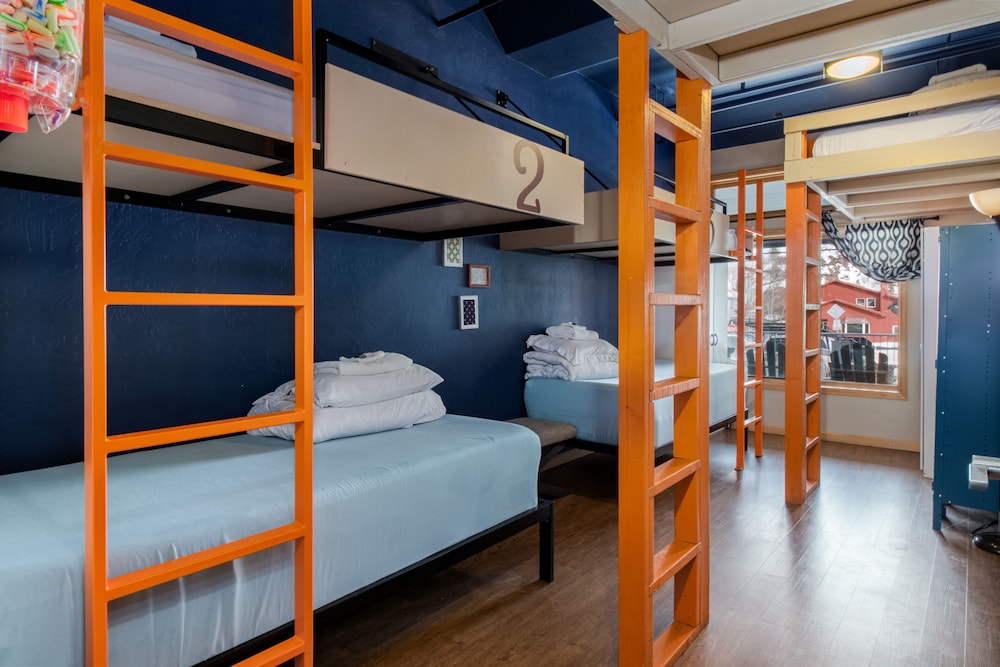 Shared Dormitory, Mixed Dorm photo 1