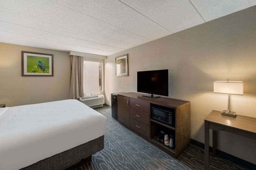 Suite, 1 King Bed, Non Smoking photo 3