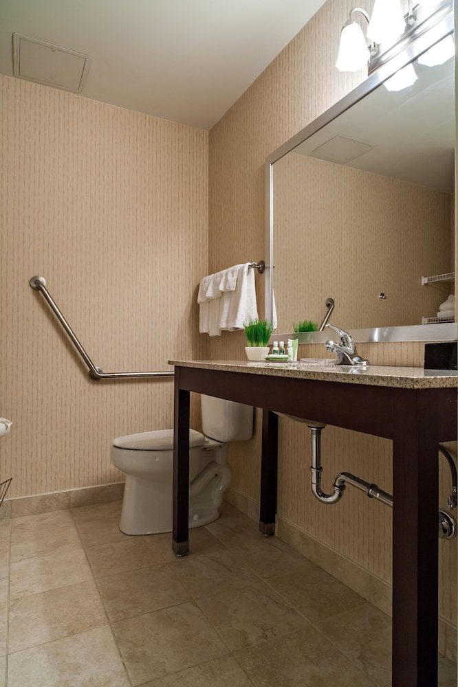 Standard Room, 1 Queen Bed, Accessible, Refrigerator & Microwave