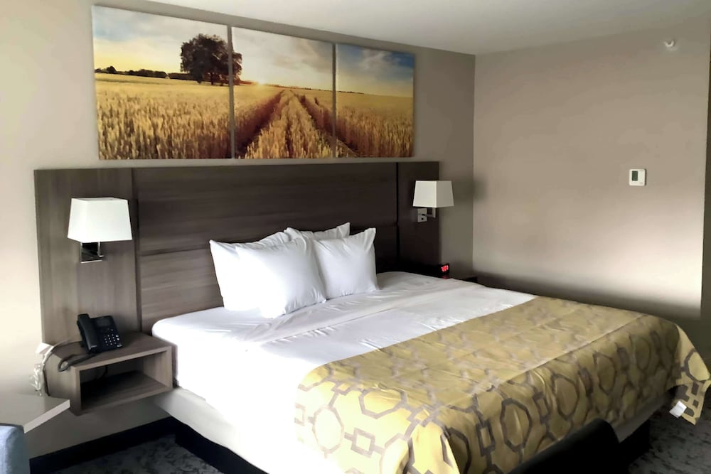 Standard Room, 1 King Bed, Non Smoking - Photo 1