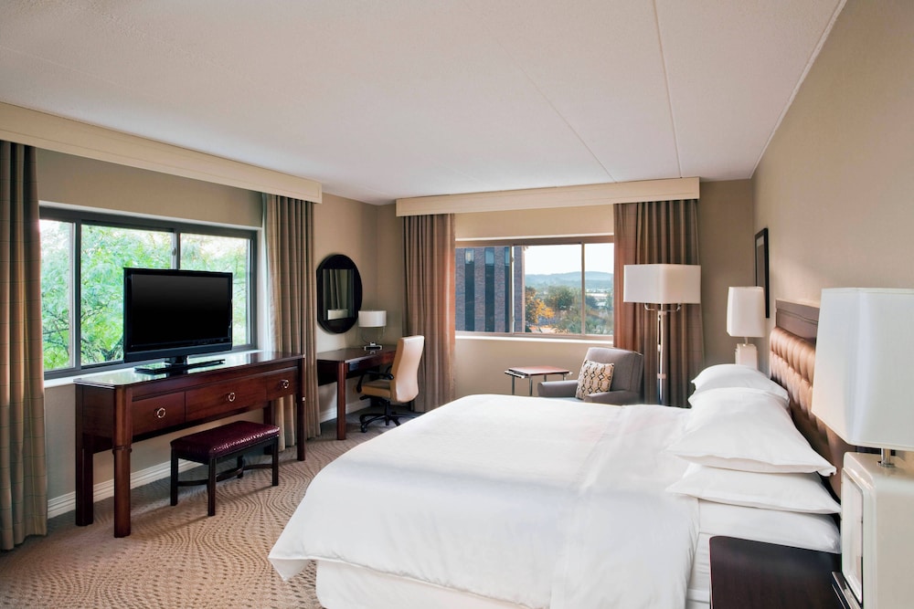 Traditional Room, 1 King Bed with Sofa bed