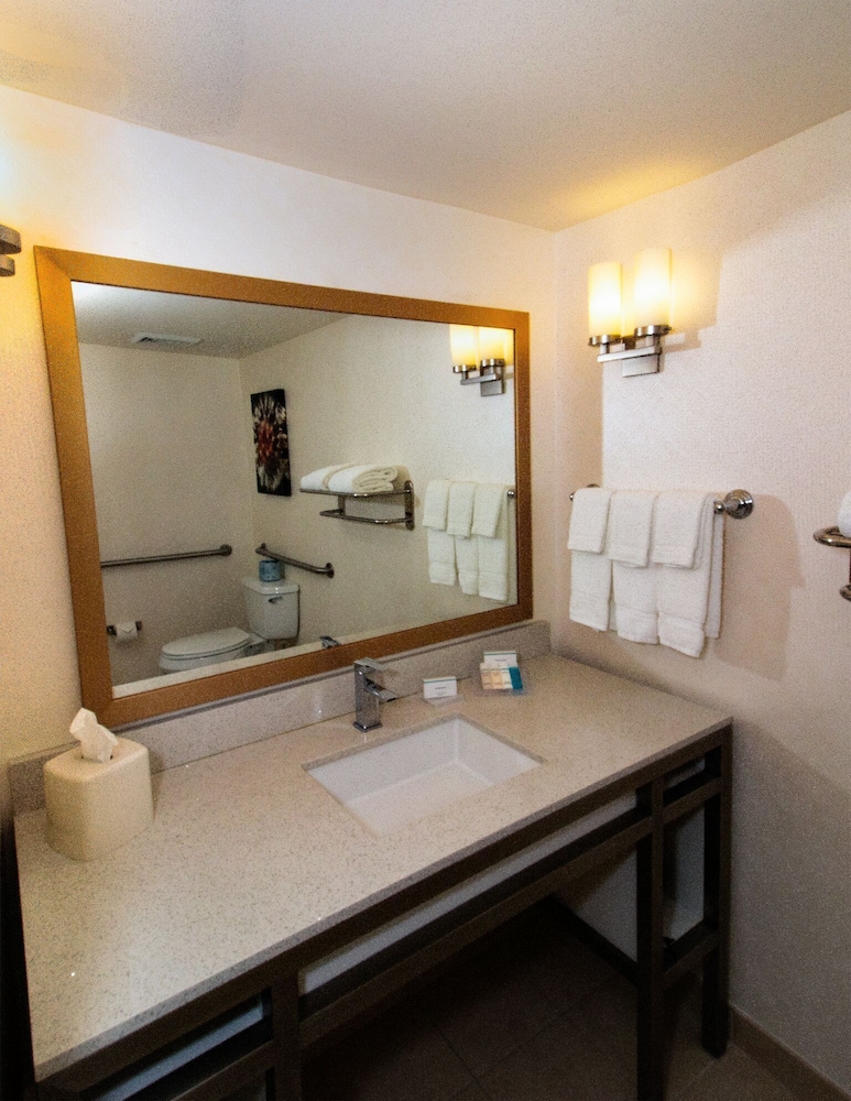 Suite, 1 Bedroom, Accessible (Roll-in Shower) - Photo 5