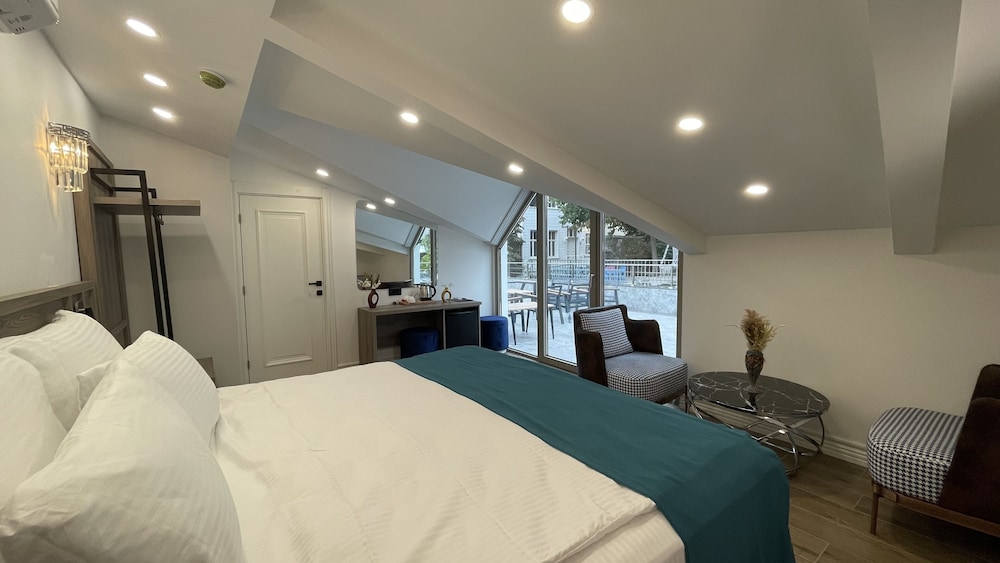 Executive Room with Terrace photo 3