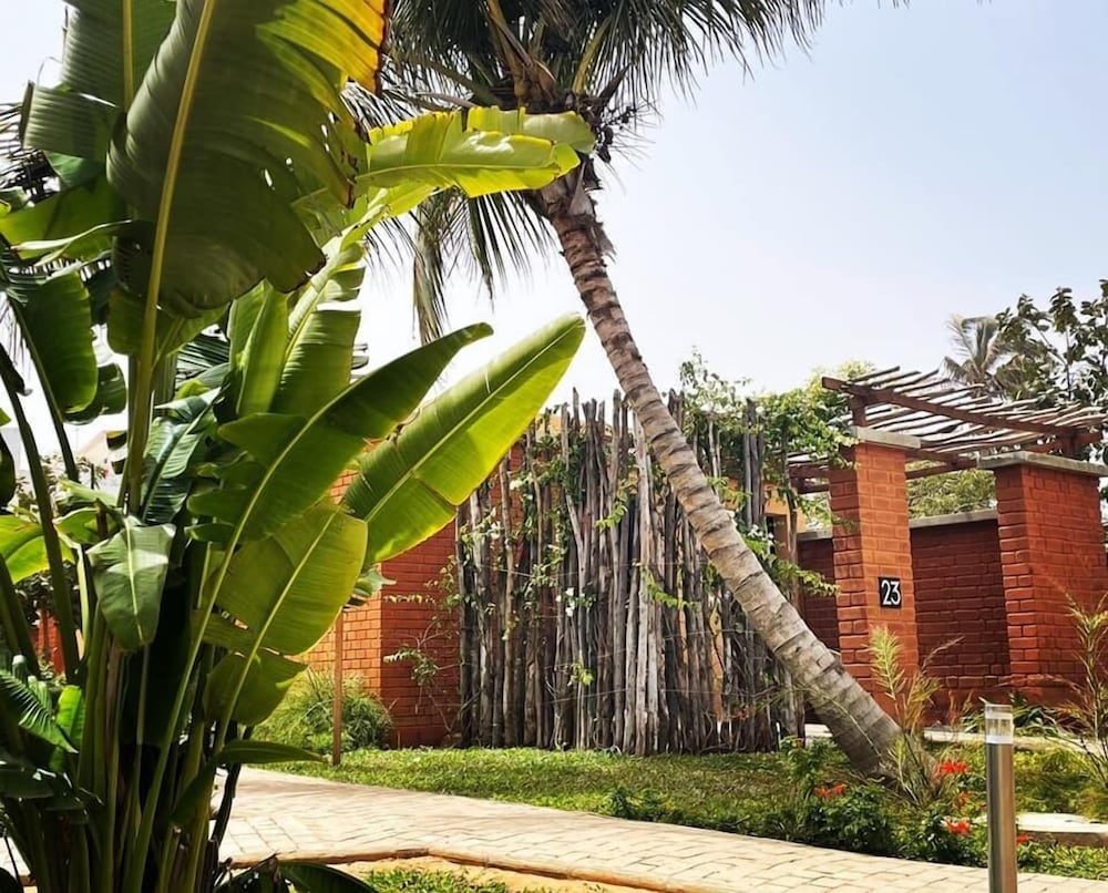 Luxury Bungalow photo 2
