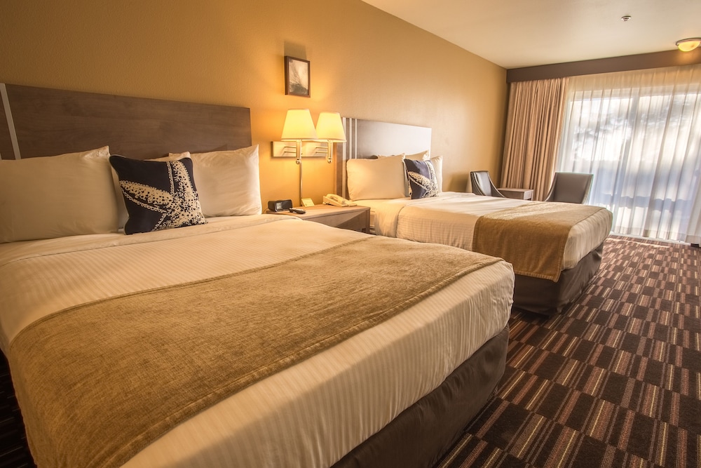 Standard Room, 2 Queen Beds, Balcony, City View photo 1