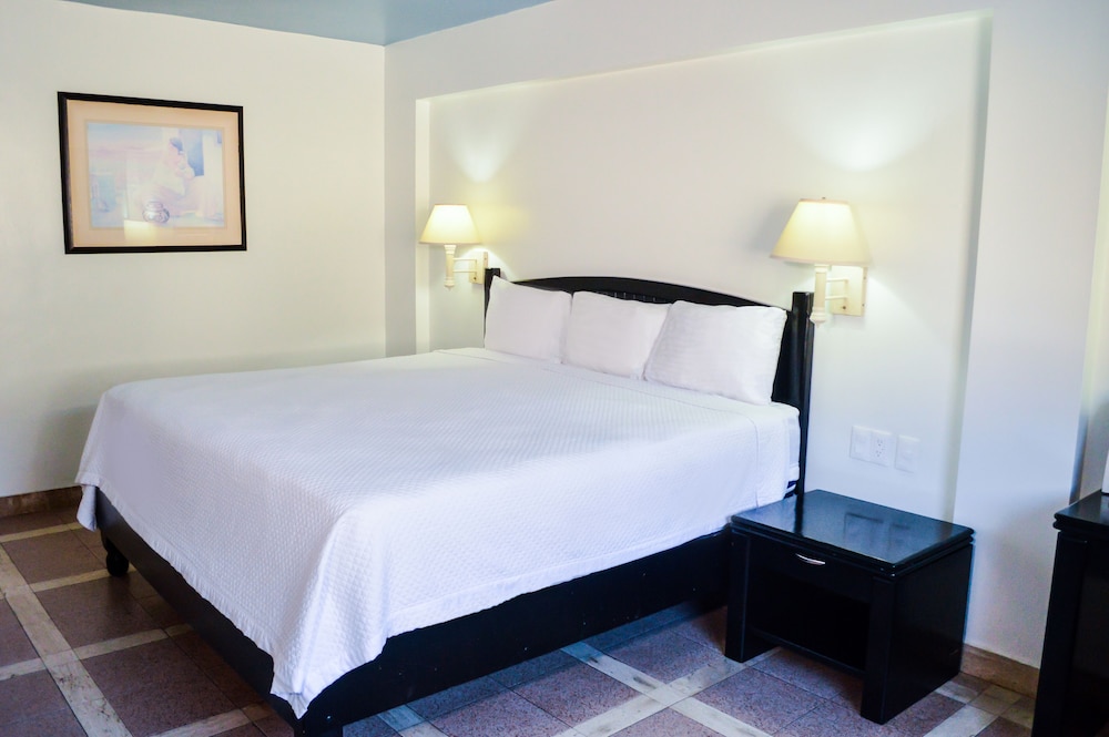 Executive Single Room, 1 King Bed photo 3