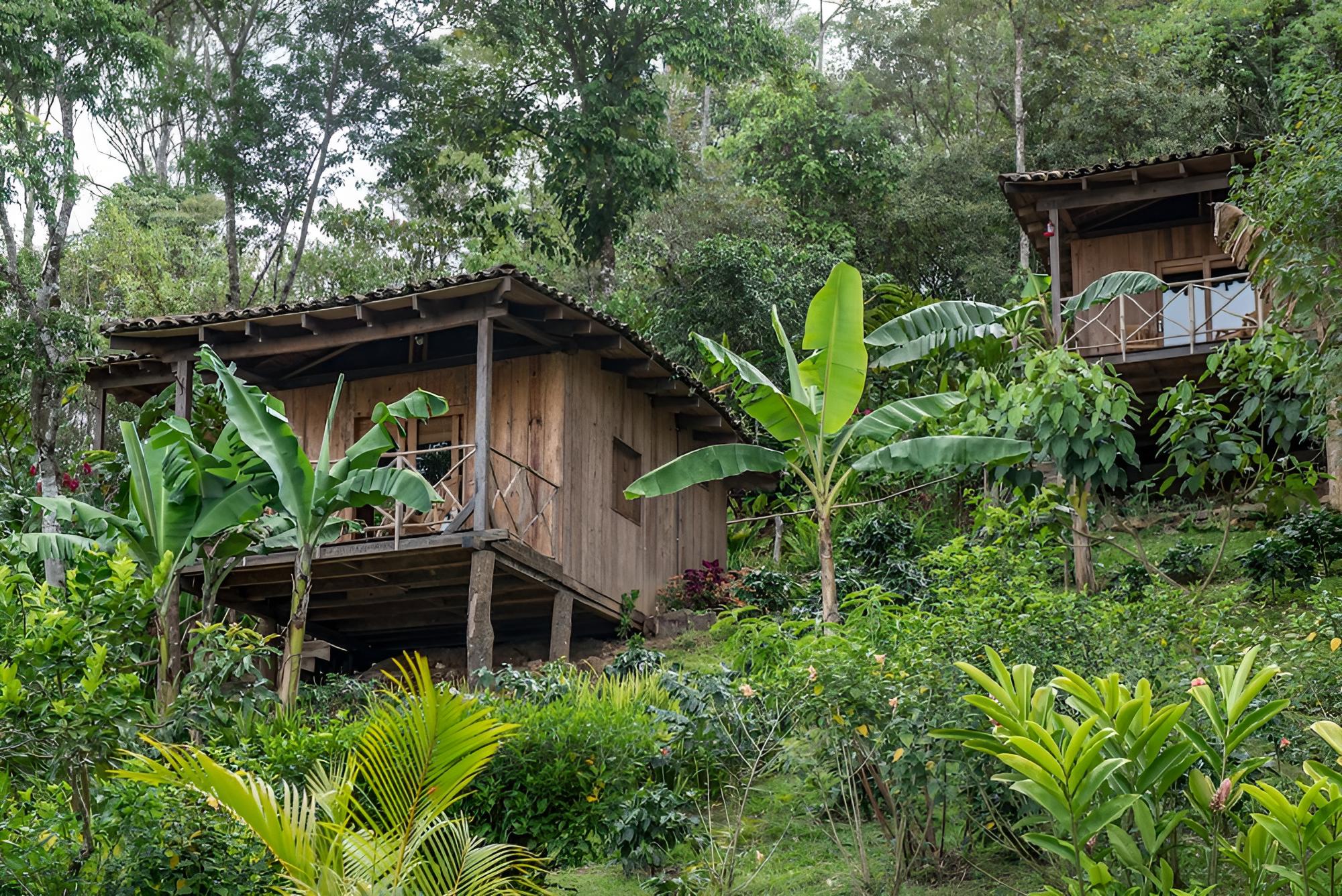 Standard Cabin, Mountain View, Mountainside photo 1