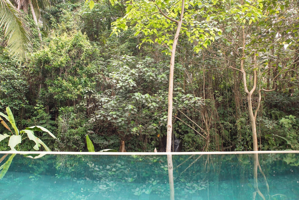 Villa, 1 Bedroom, Private Pool, River View photo 2