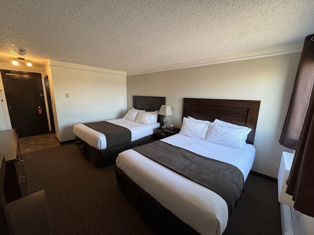 Basic Double Room