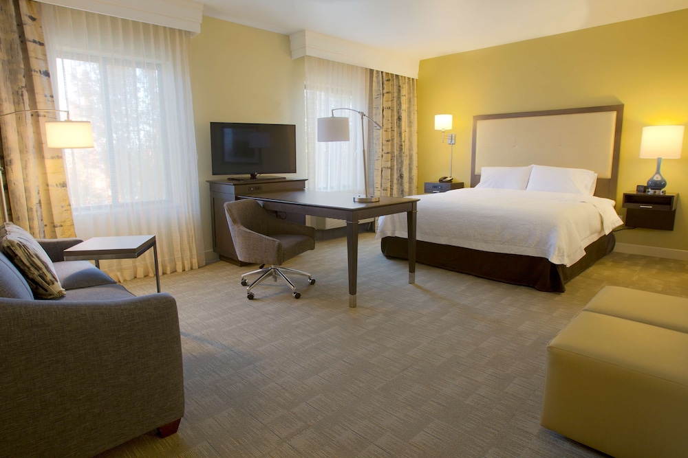 Suite, 1 King Bed, Accessible photo 1