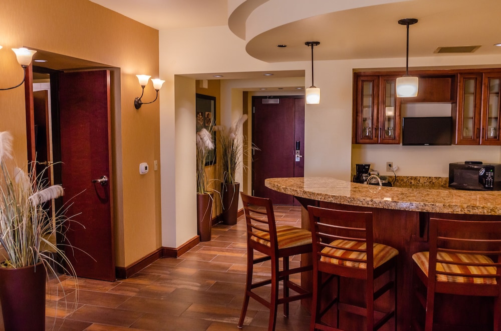 Presidential Suite, 1 King Bed photo 2