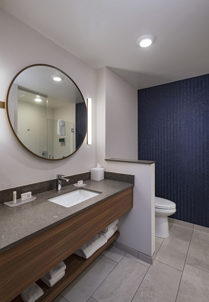 Suite, Multiple Beds (Mobility/Hearing Access, Roll-In Shwr) photo 3