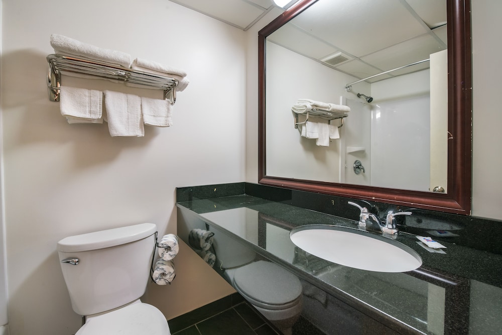 Deluxe Room, 1 King Bed, Non Smoking, Refrigerator & Microwave - Photo 9