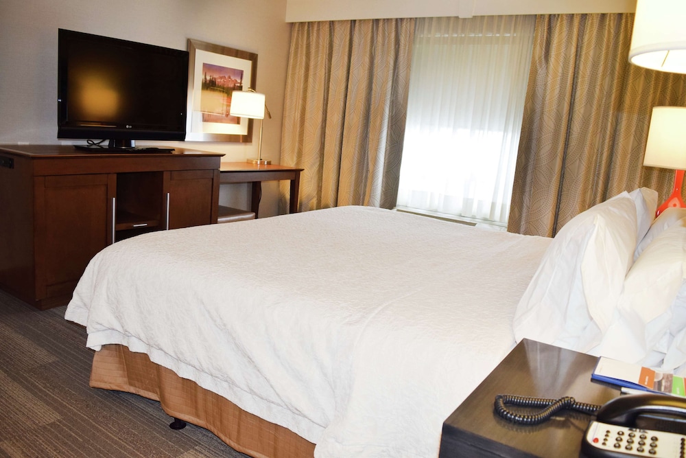 Exclusive Room, 1 King Bed, Kitchen (Living Area)