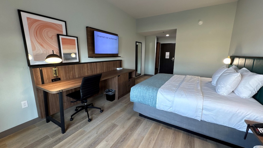 Room, 1 King Bed, Non Smoking - Photo 4