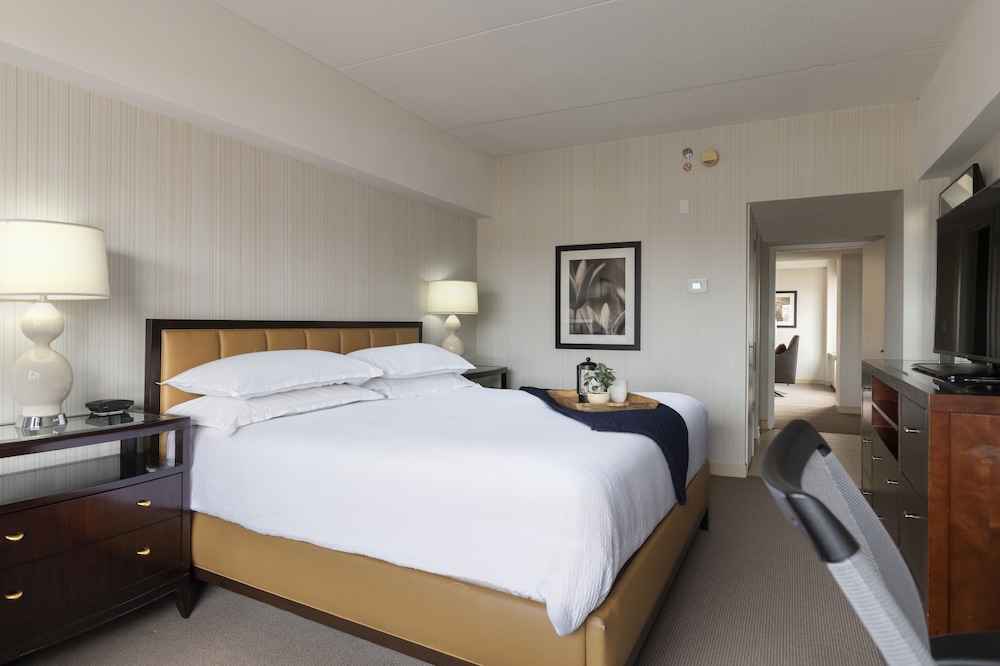 Suite, 1 King Bed photo 2