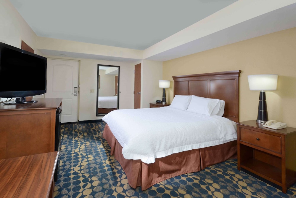 Room, 1 King Bed, Accessible, Non Smoking (Bath Tub) - Photo 3