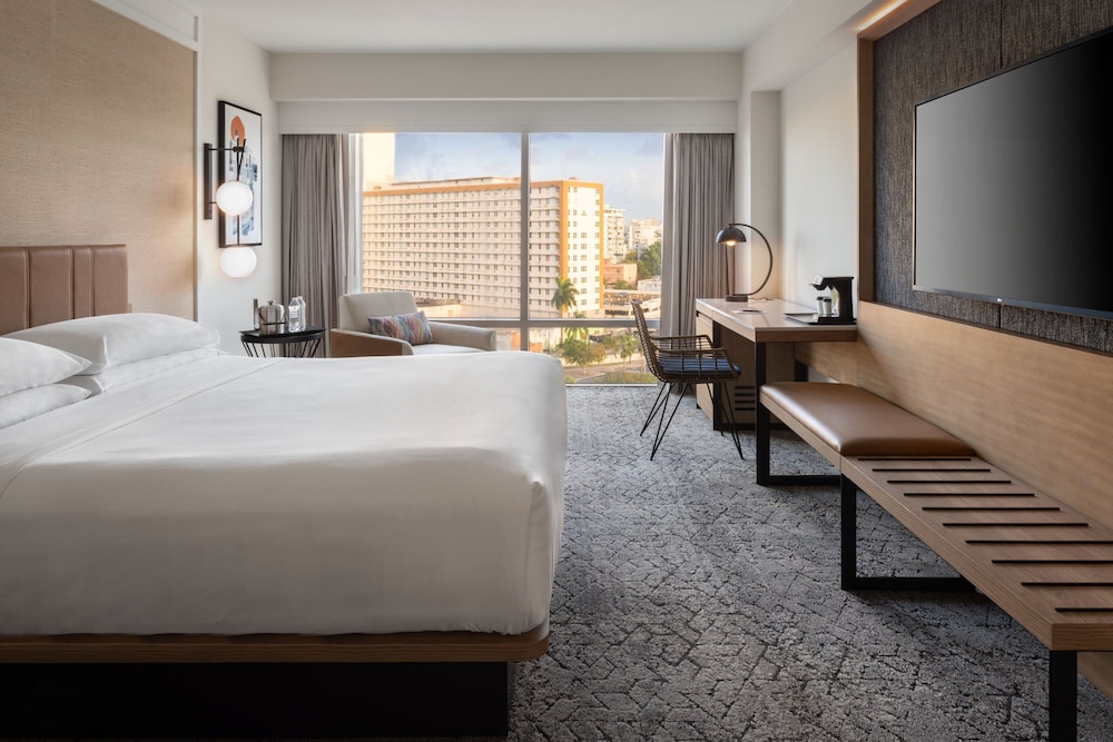 Traditional Room, 1 King Bed, City View (Mobility Accessible, Tub) - Photo 1