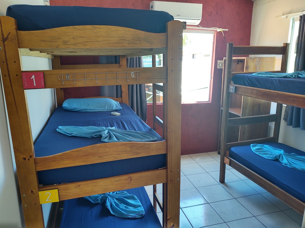 Shared Dormitory, Women only (1 Treliche + 1 Beliche) photo 1