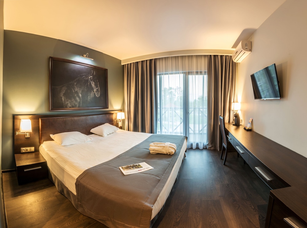 Superior Double or Twin Room, Park View