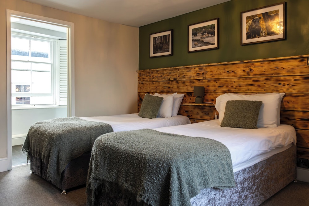 Basic Twin Room, 2 Twin Beds photo 1