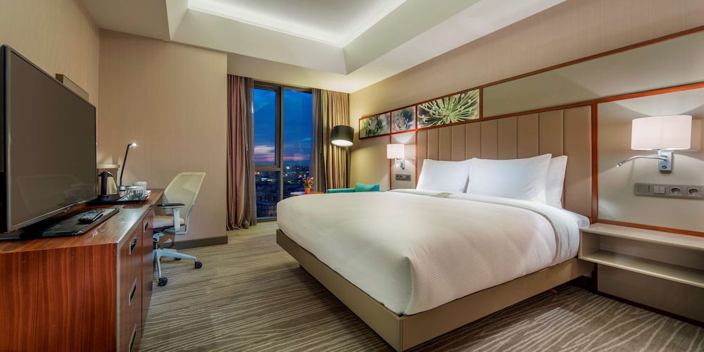 Room, 1 King Bed, Accessible photo 1
