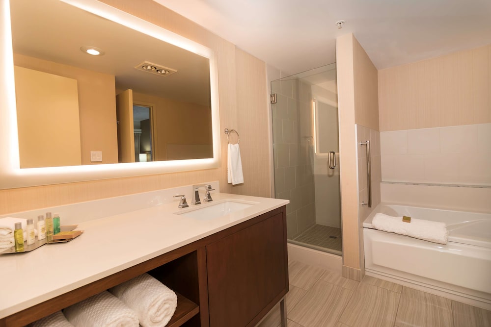 Suite, 1 King Bed (Ambassador) photo 3