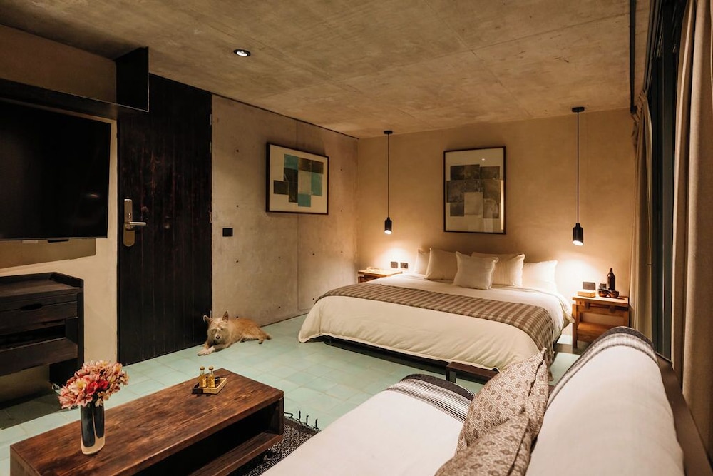 Junior Suite, Pets Allowed, Courtyard View photo 2