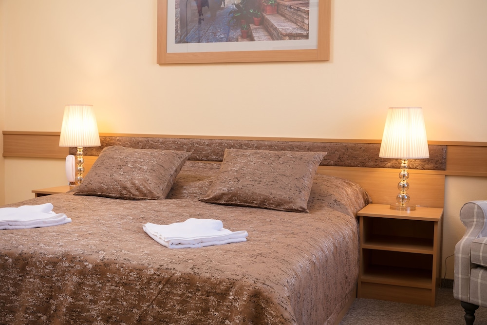 Premium Double Room, 1 Queen Bed, Non Smoking photo 3
