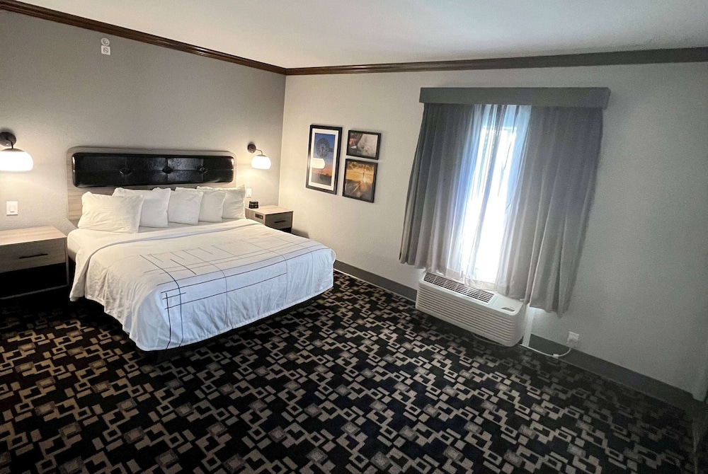 Suite, 1 King Bed, Non Smoking - Photo 9