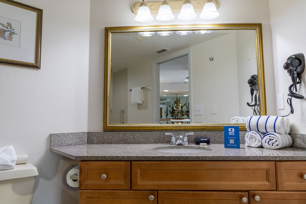 Suite, 1 Bedroom - Photo 3
