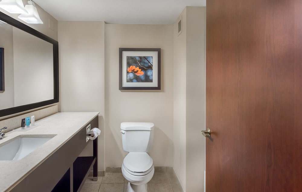 Suite, 1 Bedroom - Photo 6