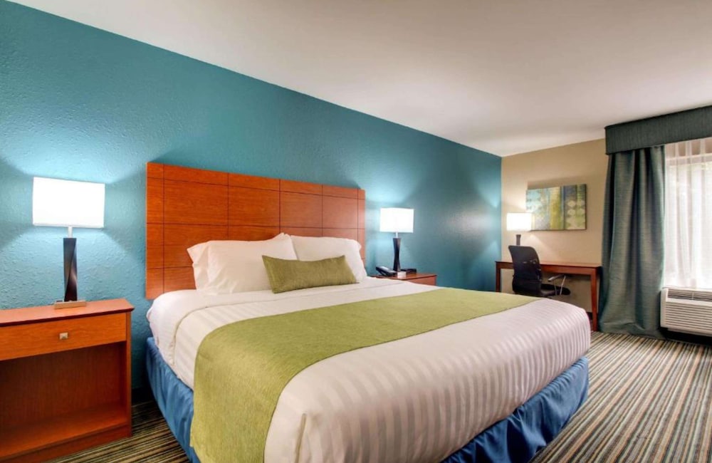 Standard Room, 1 King Bed, Accessible, Non Smoking - Photo 1