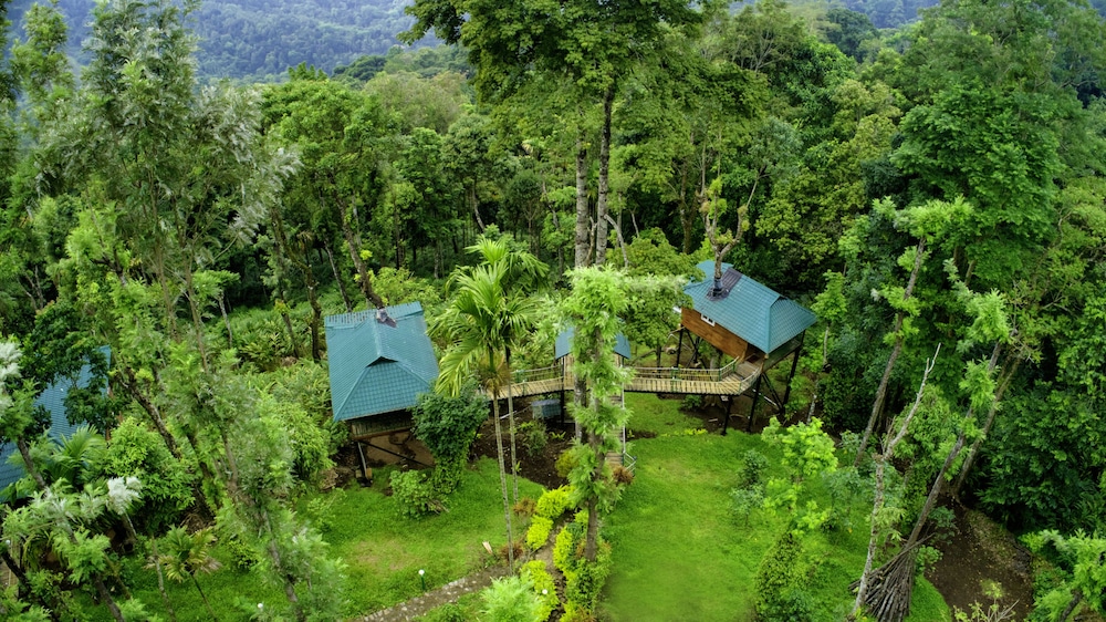 Standard Tree House, 1 Bedroom, Bathtub, Hill View photo 2