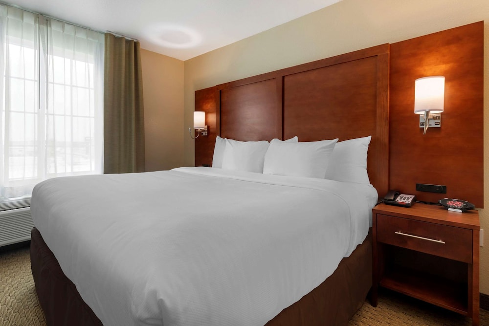 Standard Suite, 1 King Bed with Sofa bed, Non Smoking - Photo 4