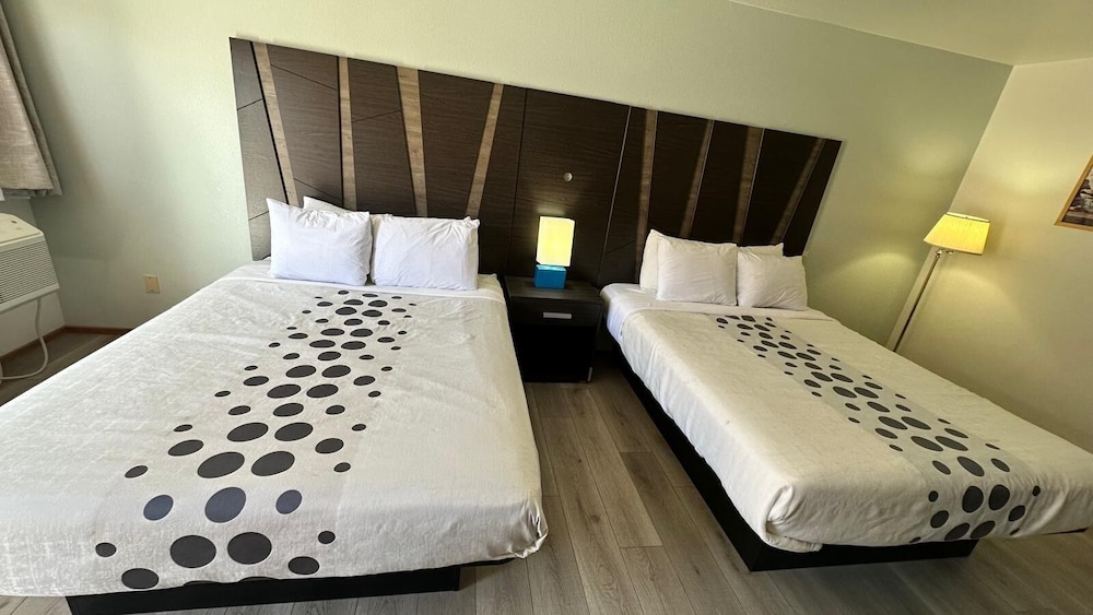 Comfort Double or Twin Room photo 3