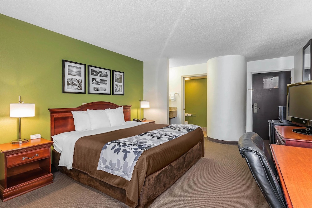 Deluxe Room, 1 King Bed, Non Smoking