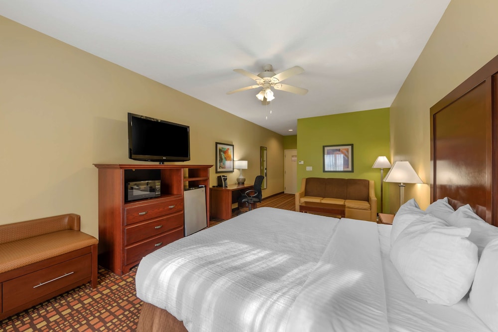 Executive Room, 1 King Bed, Non Smoking, Refrigerator & Microwave (with Sofabed) - Photo 2